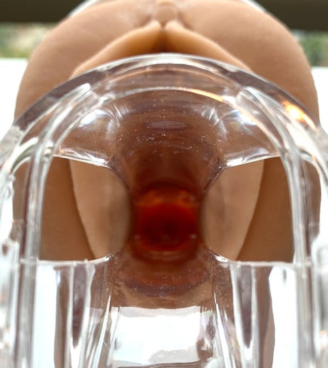 Vulva Model with Vaginal Canal-Teaching Aids-Birth Supplies Canada