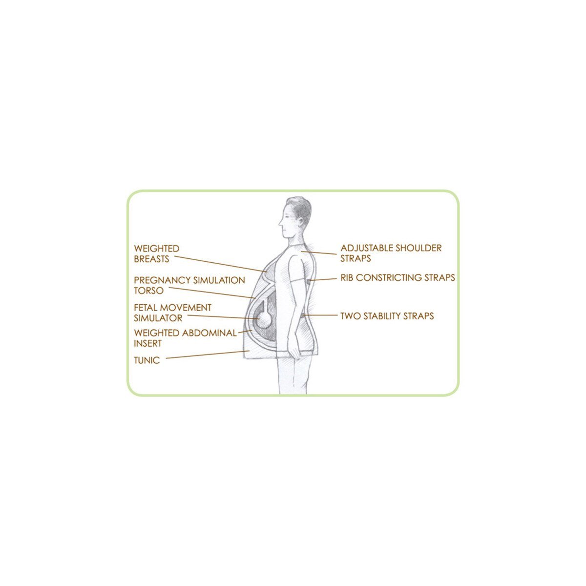With Child™ Pregnancy Simulator – Teaching Model-Teaching Aids-Birth Supplies Canada