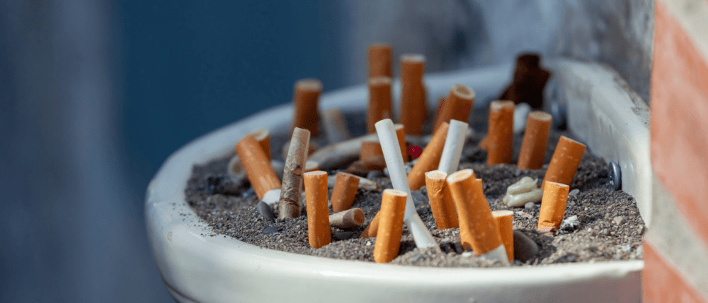 Alcohol & Tobacco Healthcare Training Models - Consumer's Choice Medical Supply