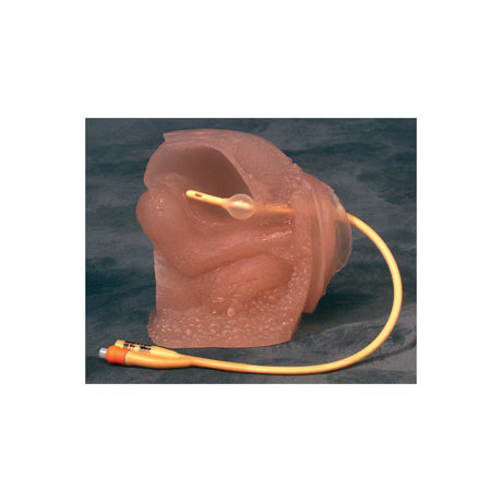 Female Catheter | Healthcare Training Model - Buy Medical Supplies Online Canada