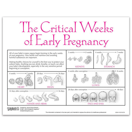 Fetal Development Tear Pad, English-Teaching Aids-Birth Supplies Canada