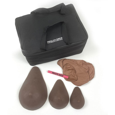 ABC Cup BSE Model Set | Healthcare Training Model - Buy Medical Supplies Online Canada