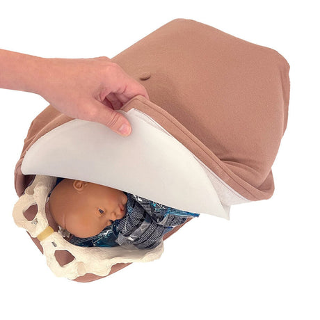 Abdominal Palpation | Healthcare Training Model - Buy Medical Supplies Online Canada