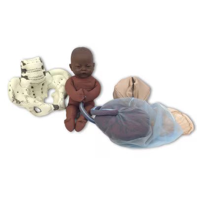 Cloth Pelvic Model Set With Fetal Model | Healthcare Training - Buy Medical Supplies Online Canada