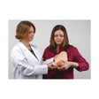 Lactation Model | Healthcare Training Model - Buy Medical Supplies Online Canada