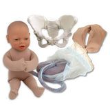 Standard Pelvis Model Set With Fetal Model | Healthcare Training Model - Buy Medical Supplies Online Canada
