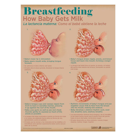 Breastfeeding Chart Set (8) - Buy Medical Supplies Online Canada