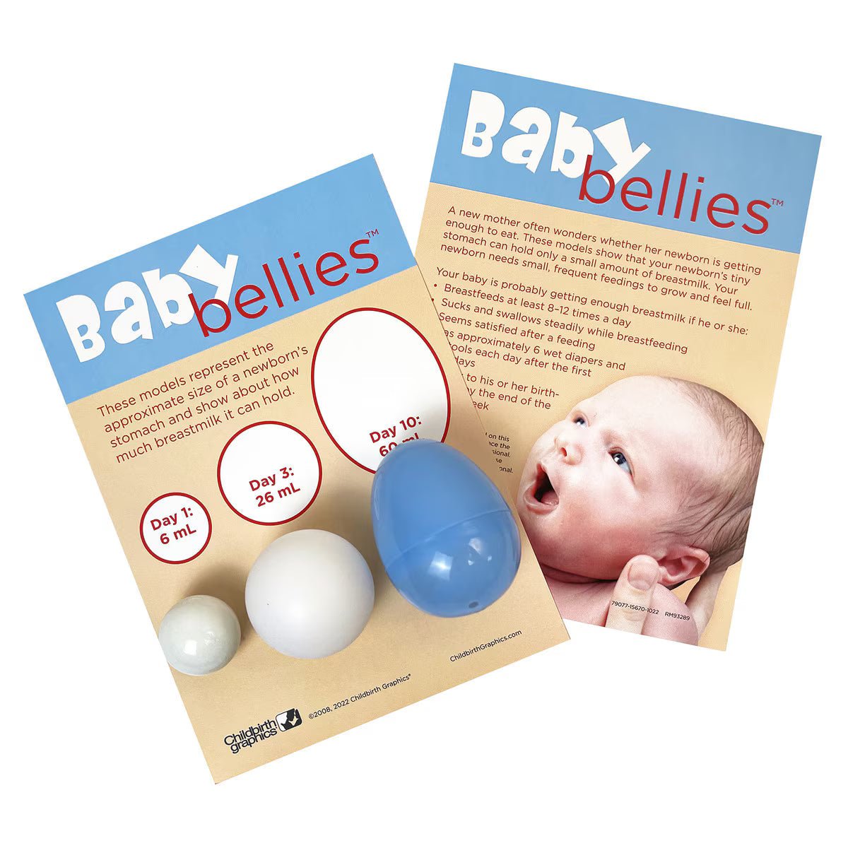 Baby Bellies Display | Healthcare Training Model - Buy Medical Supplies Online Canada