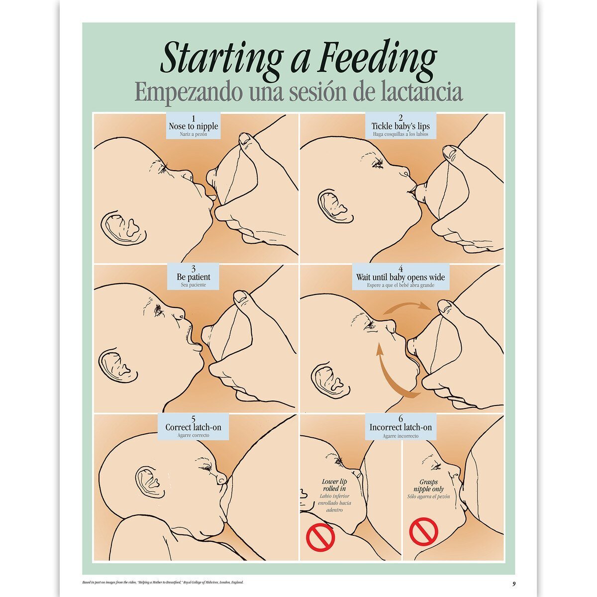 Breastfeeding Basics Spiral - bound Charts, English/Spanish - Buy Medical Supplies Online Canada