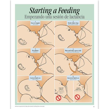 Breastfeeding Basics Spiral - bound Charts, English/Spanish - Buy Medical Supplies Online Canada