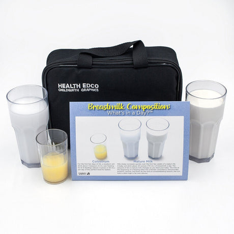 Breastmilk Composition: What's In A Day?™ Display - Buy Medical Supplies Online Canada