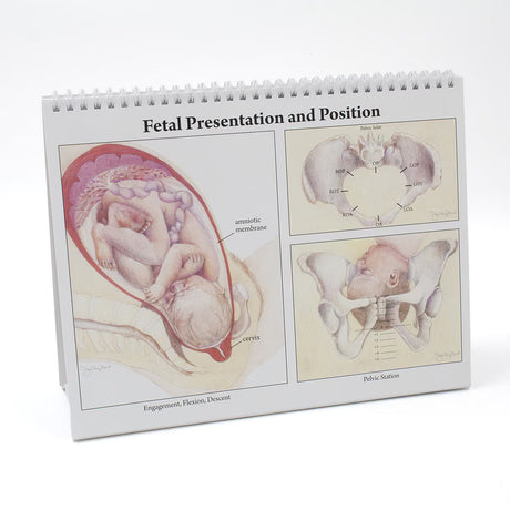 Childbearing: The Classic Series Desk Version Flip Chart - Buy Medical Supplies Online Canada