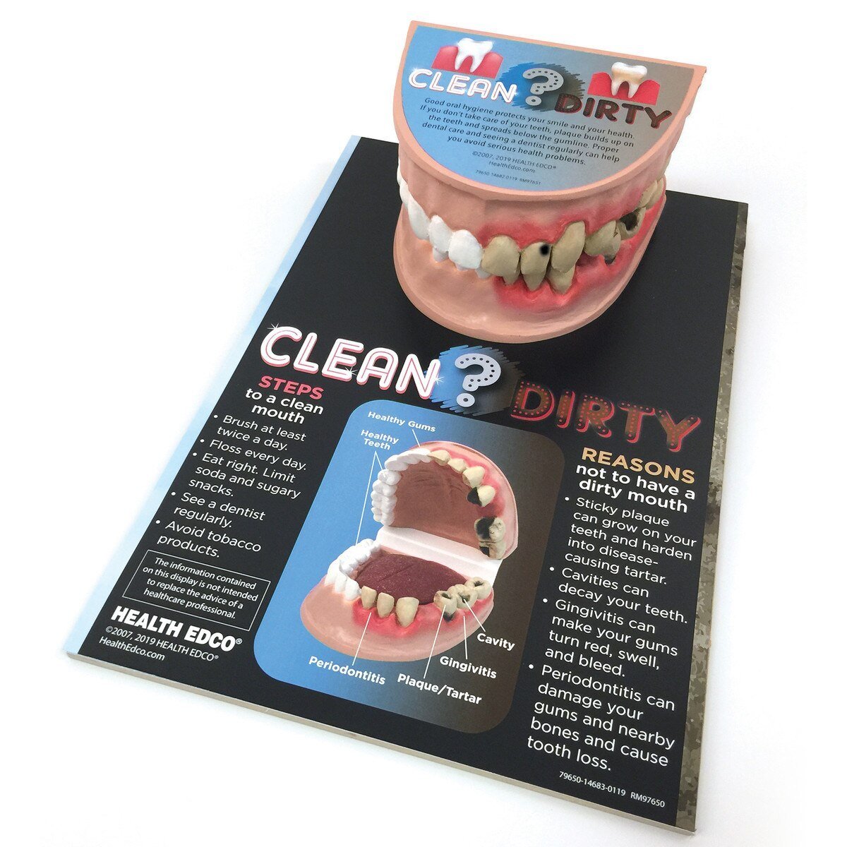 Clean Mouth / Dirty Mouth Display | Healthcare Training Model - Buy Medical Supplies Online Canada