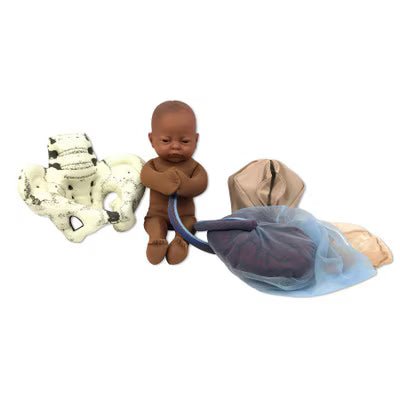 Cloth Pelvic Model Set With Fetal Model | Healthcare Training - Buy Medical Supplies Online Canada