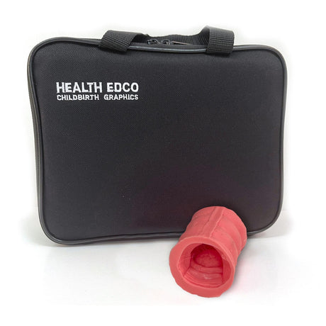 Colorectal Polyp Model | Healthcare Training Model - Buy Medical Supplies Online Canada