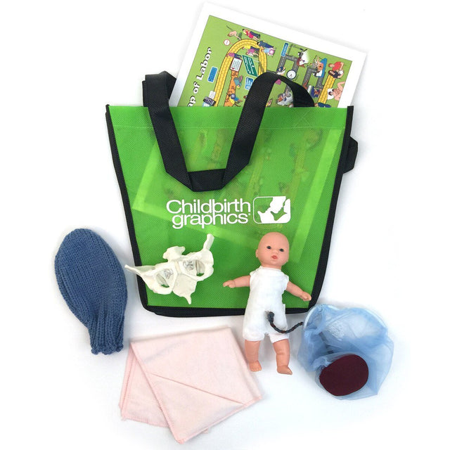 Deluxe Mini-Model Set With Flexible Pelvis-Birth Supplies Canada