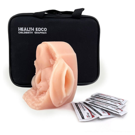 Female Contraceptive Model | Healthcare Training Model - Buy Medical Supplies Online Canada