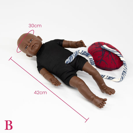 Fetal Doll with umbilical cord & placenta-Teaching Aids-Birth Supplies Canada