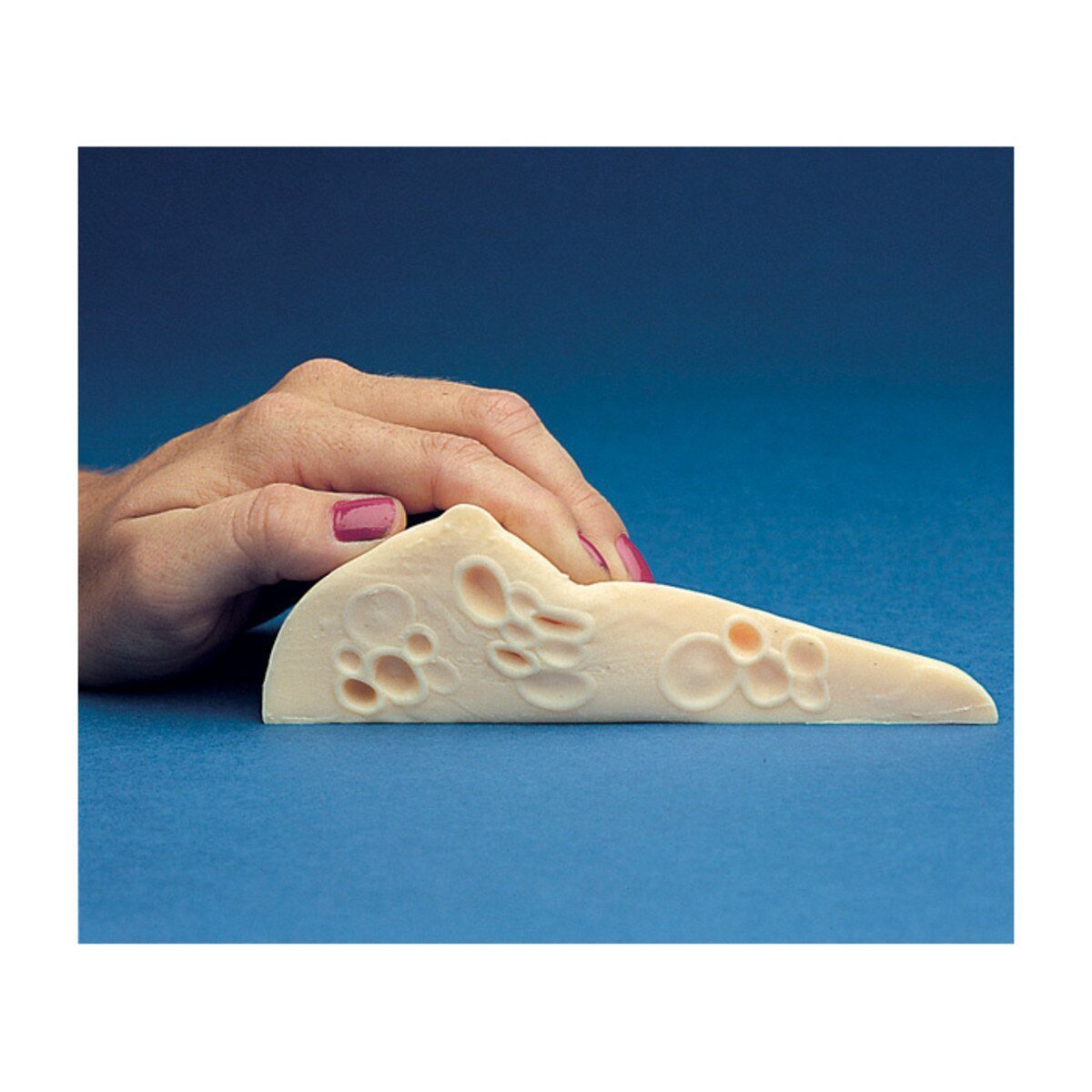 Fibrocystic BSE Model | Healthcare Training Model - Buy Medical Supplies Online Canada