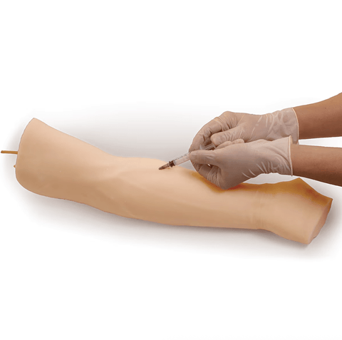 Injection Training Arm Model | Healthcare Training Model – Consumer's ...