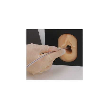 Internal Fetal Monitor | Healthcare Training Model - Buy Medical Supplies Online Canada