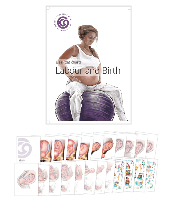 Labour & Birth Charts Desk Set – Visual Guide for Childbirth Education