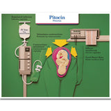 Labour & Birth Intervention Chart Set – Bilingual English/Spanish - Buy Medical Supplies Online Canada