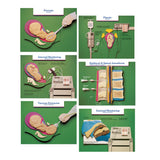 Labour & Birth Intervention Chart Set – Bilingual English/Spanish - Buy Medical Supplies Online Canada