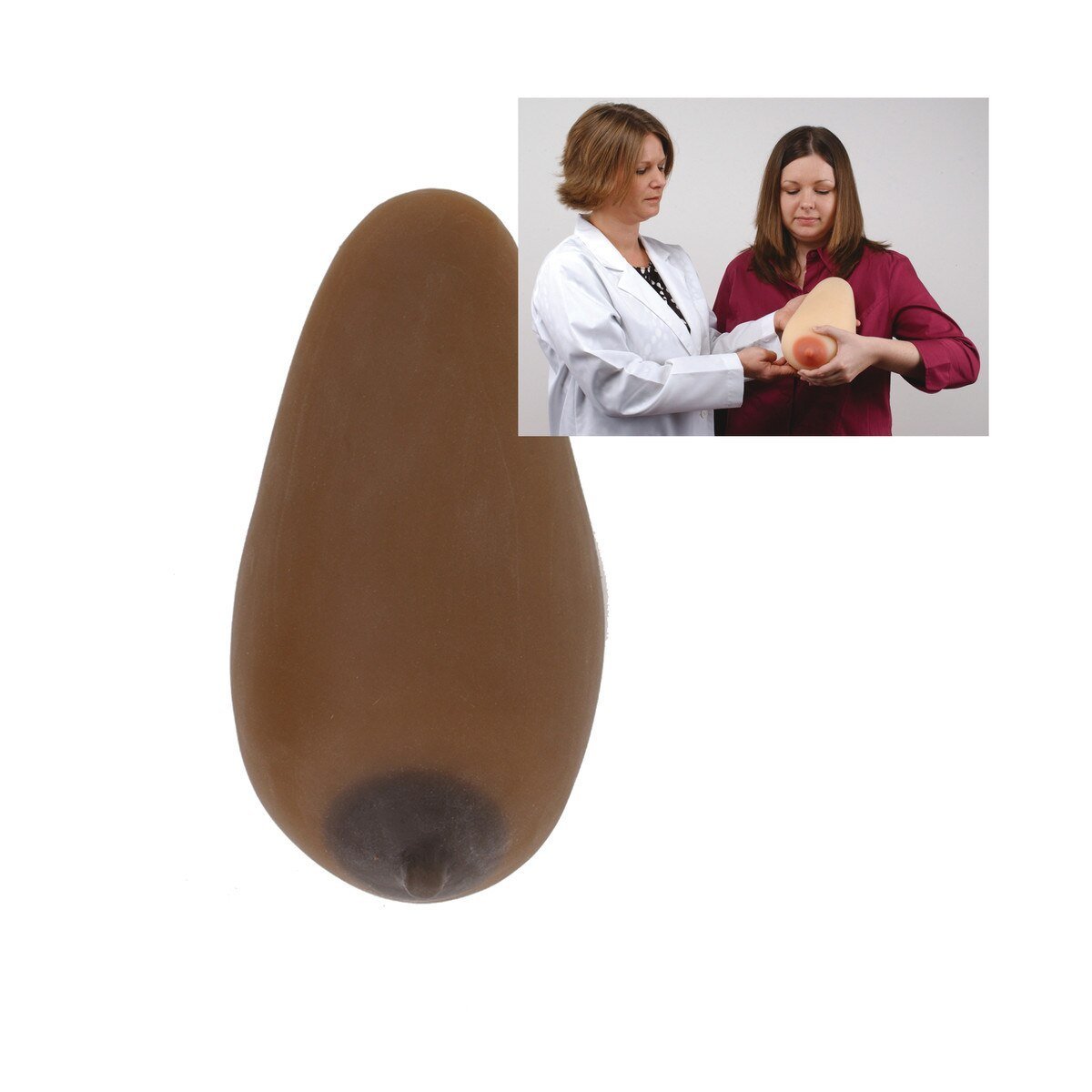 Lactation Model | Healthcare Training Model - Buy Medical Supplies Online Canada