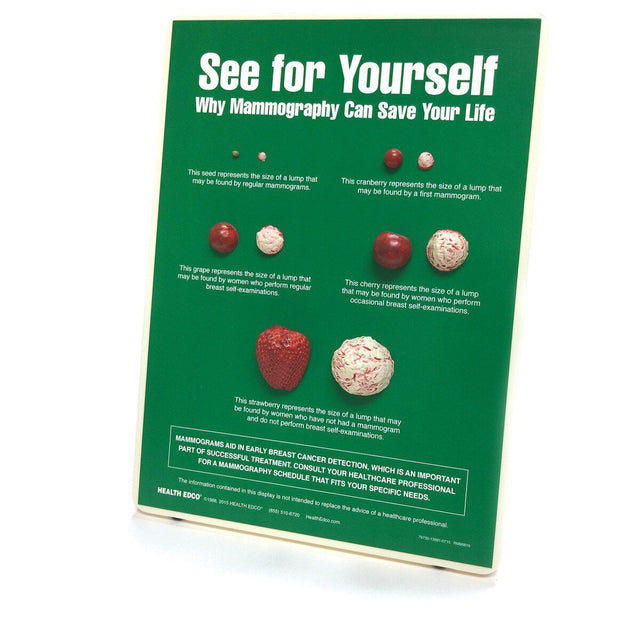See For Yourself: Mammography Easel Display | Healthcare Training Model - Buy Medical Supplies Online Canada