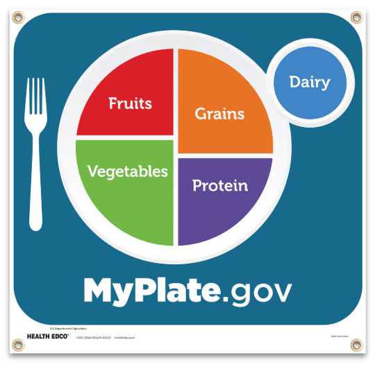 MyPlate Banner | Healthcare Training Model - Buy Medical Supplies Online Canada
