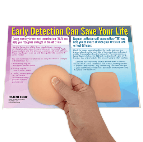 Nonsexual BSE/TSE Model | Healthcare Training Model - Buy Medical Supplies Online Canada