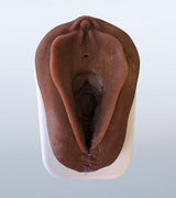 Obstetrics Anal Sphincter Injury Suturing Model-Teaching Aids-Birth Supplies Canada