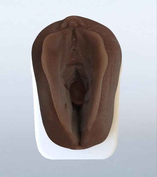 Obstetrics Anal Sphincter Injury Suturing Model-Teaching Aids-Birth Supplies Canada