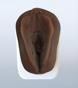 Obstetrics Anal Sphincter Injury Suturing Model-Teaching Aids-Birth Supplies Canada