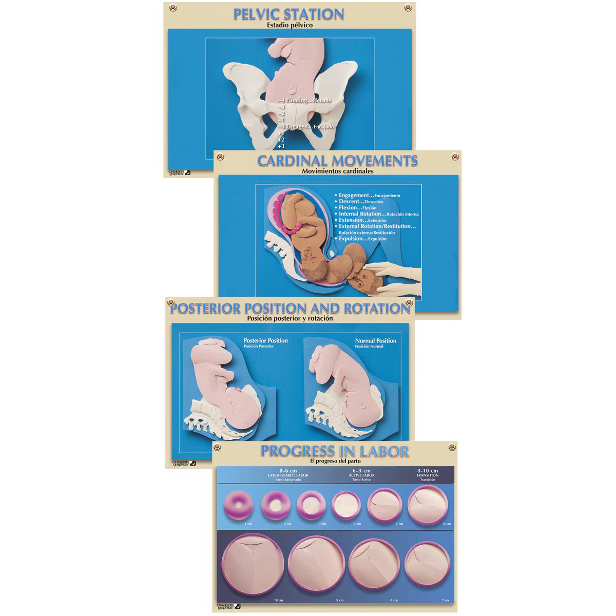 One-to-One Chart Set, Bilingual(4) - Buy Medical Supplies Online Canada