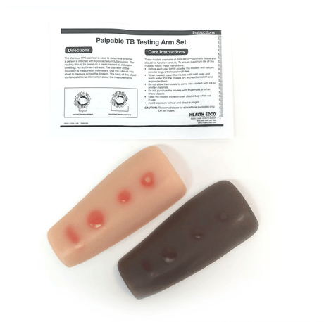 Palpable TB Testing Arm Set | Healthcare Training Model - Buy Medical Supplies Online Canada