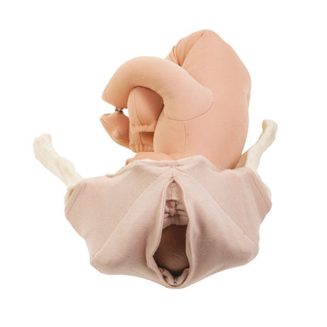 Perineal Cloth Model | Healthcare Training - Buy Medical Supplies Online Canada
