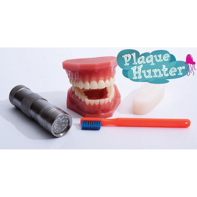 Plaque Hunter Demonstration Model | Healthcare Training Model - Buy Medical Supplies Online Canada