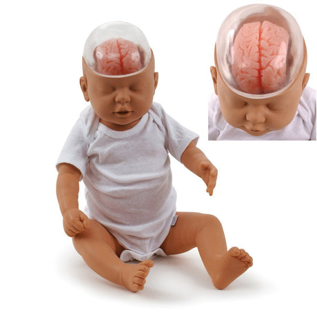 Shaken Baby Demonstration Model-Birth Supplies Canada
