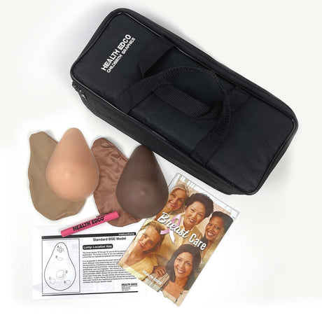 Standard BSE Model Kit | Healthcare Training Model - Buy Medical Supplies Online Canada