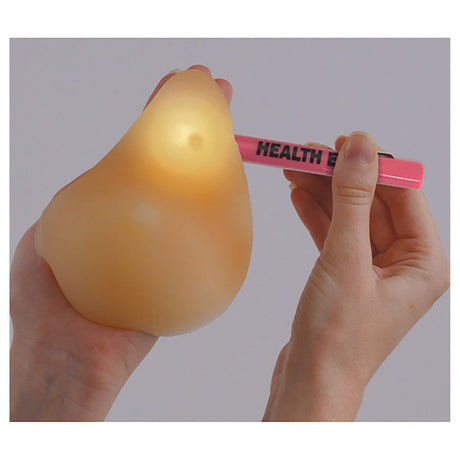 Standard BSE Model Kit | Healthcare Training Model - Buy Medical Supplies Online Canada