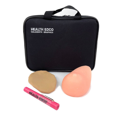 Teen BSE Model | Healthcare Training Model - Buy Medical Supplies Online Canada