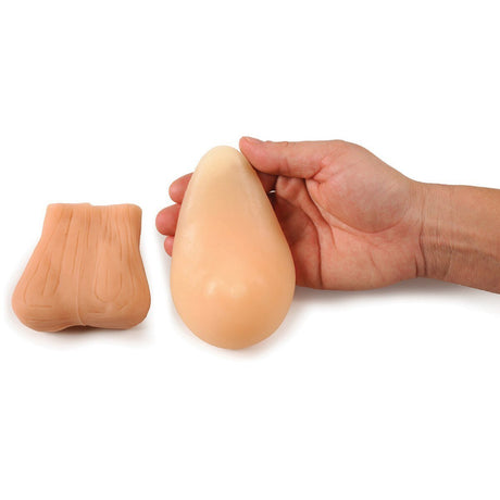 Teen BSE/TSE Model Kit | Healthcare Training Model - Buy Medical Supplies Online Canada