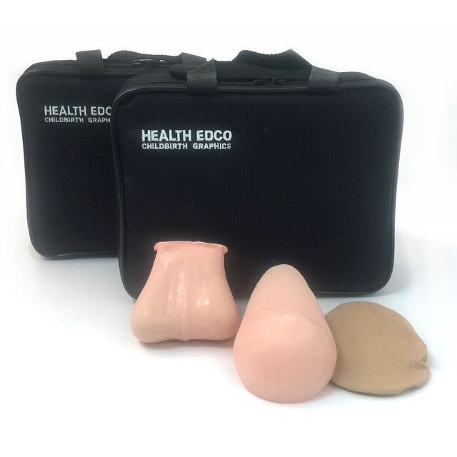 Teen BSE/TSE Model Kit | Healthcare Training Model - Buy Medical Supplies Online Canada