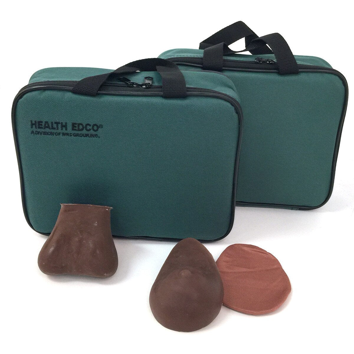 Teen BSE/TSE Model Kit | Healthcare Training Model - Buy Medical Supplies Online Canada