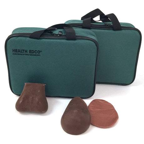 Teen BSE/TSE Model Kit | Healthcare Training Model - Buy Medical Supplies Online Canada