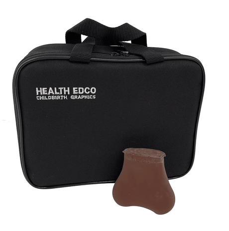 Testicular Self-exam Model-Teaching Aids-Birth Supplies Canada