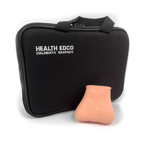 Testicular Self-exam Model-Teaching Aids-Birth Supplies Canada