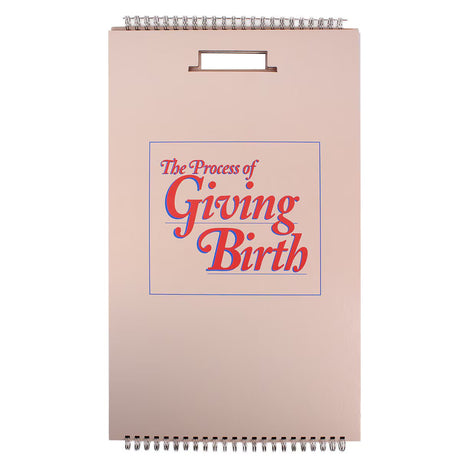 The Process of Giving Birth Flip Chart, English/Spanish - Buy Medical Supplies Online Canada